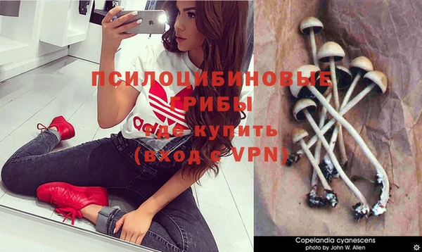 амфетамин Богородск