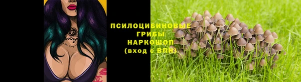 соль курить ск Богданович