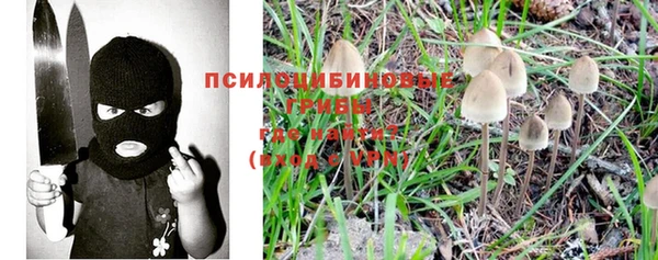 соль курить ск Богданович