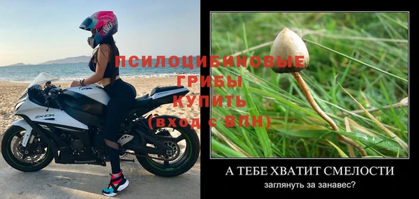 apvp Богородицк