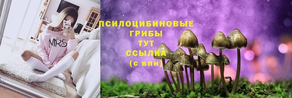 альфа пвп Белокуриха