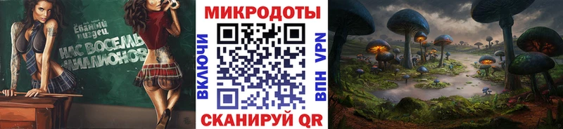 дарнет шоп Сковородино Псилоцибиновые грибы Psilocybe